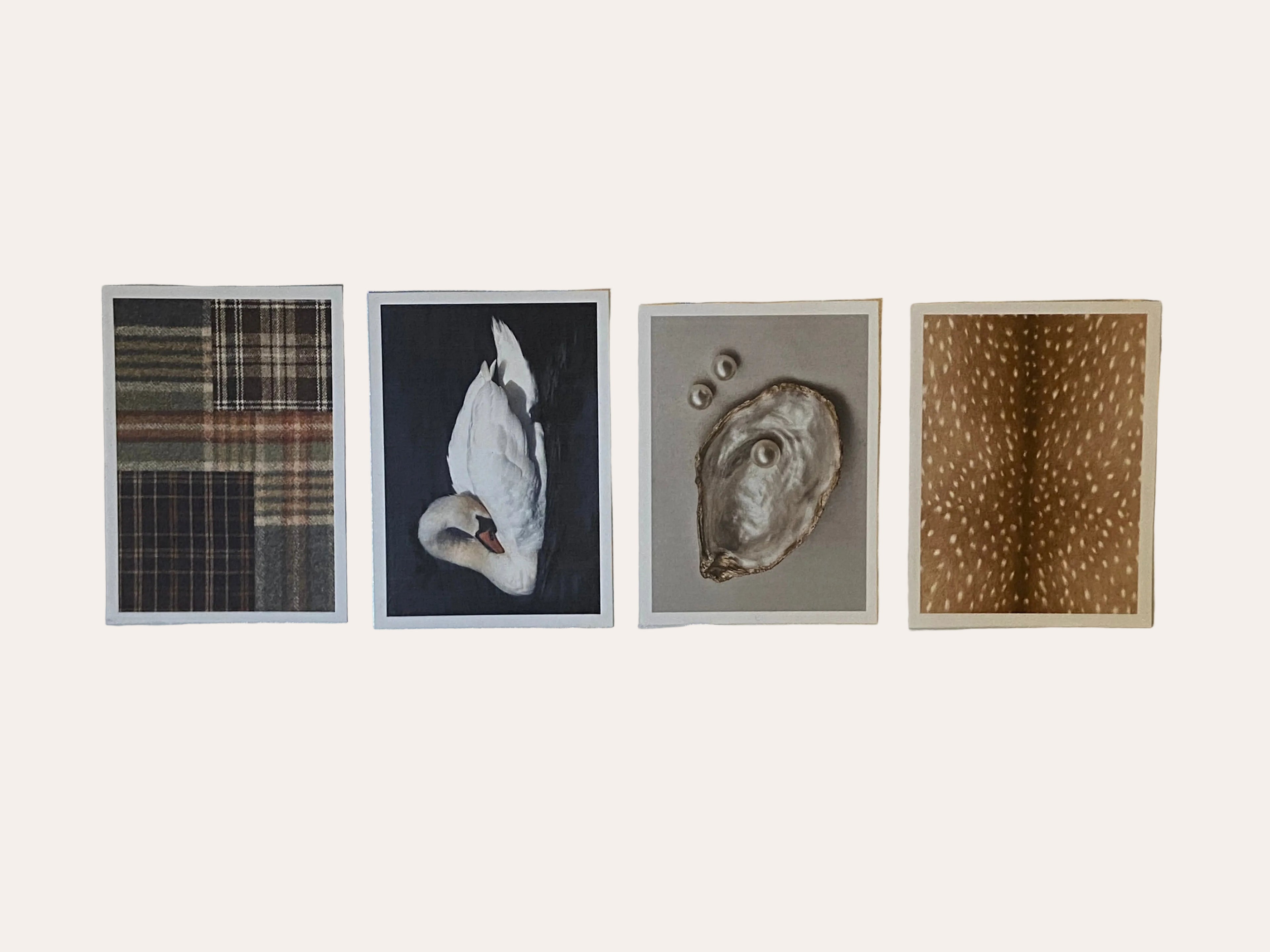 Refined Postcard Collection (Set of 4 Postcard)