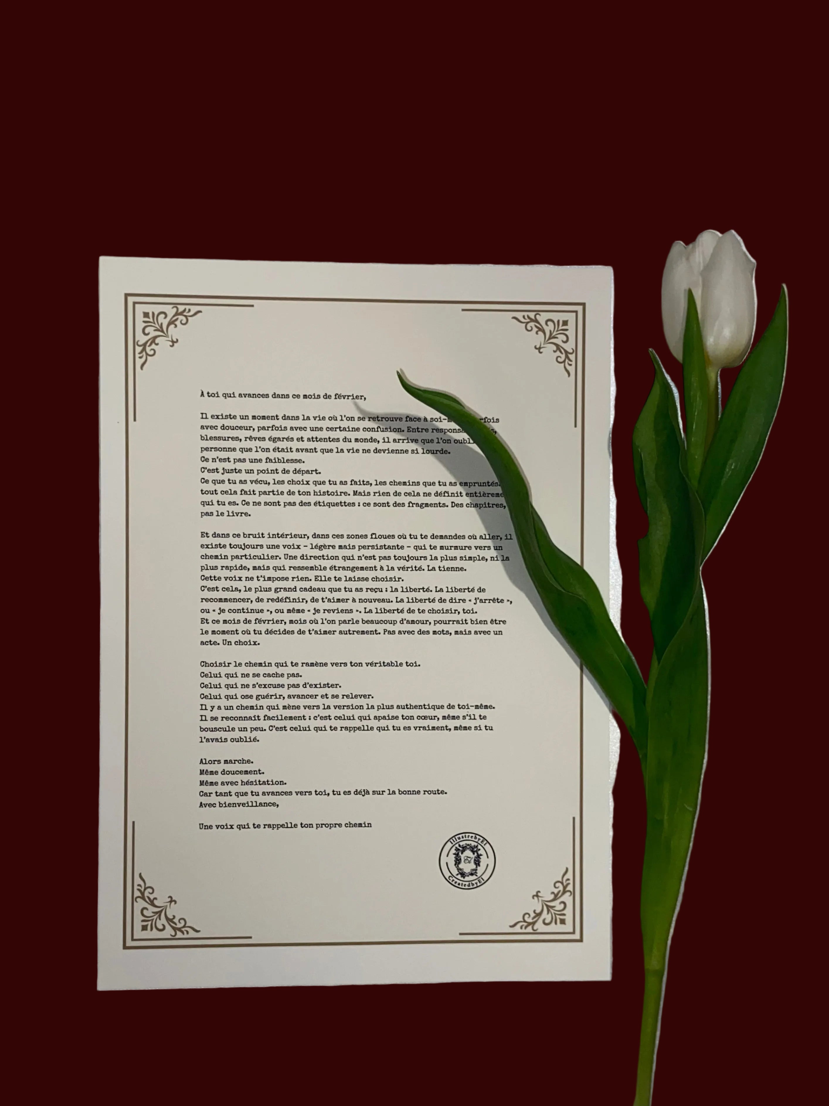 The Snail Mail Club - Preorder only / En précommande exclusivement