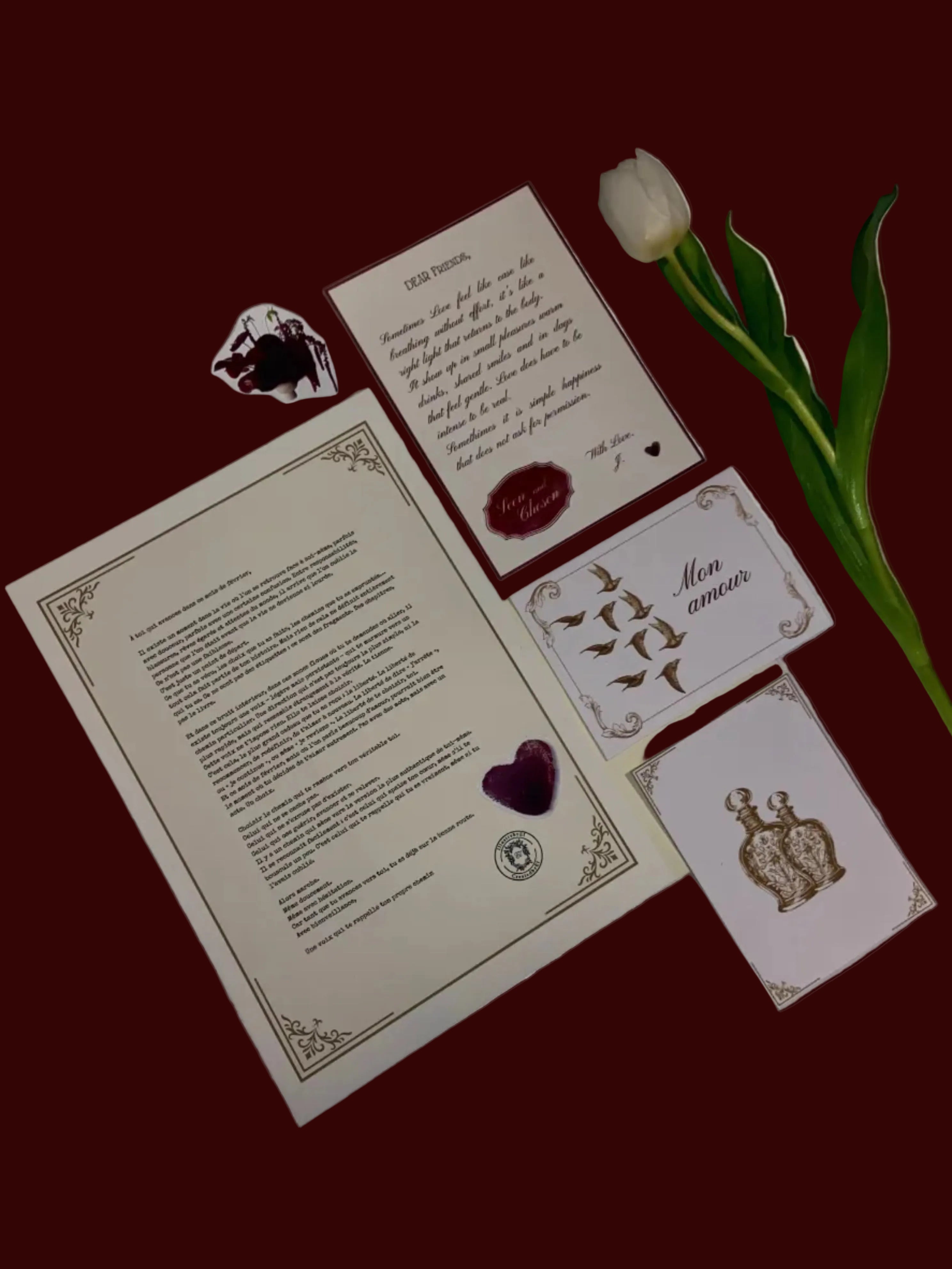 The Snail Mail Club - Preorder only / En précommande exclusivement