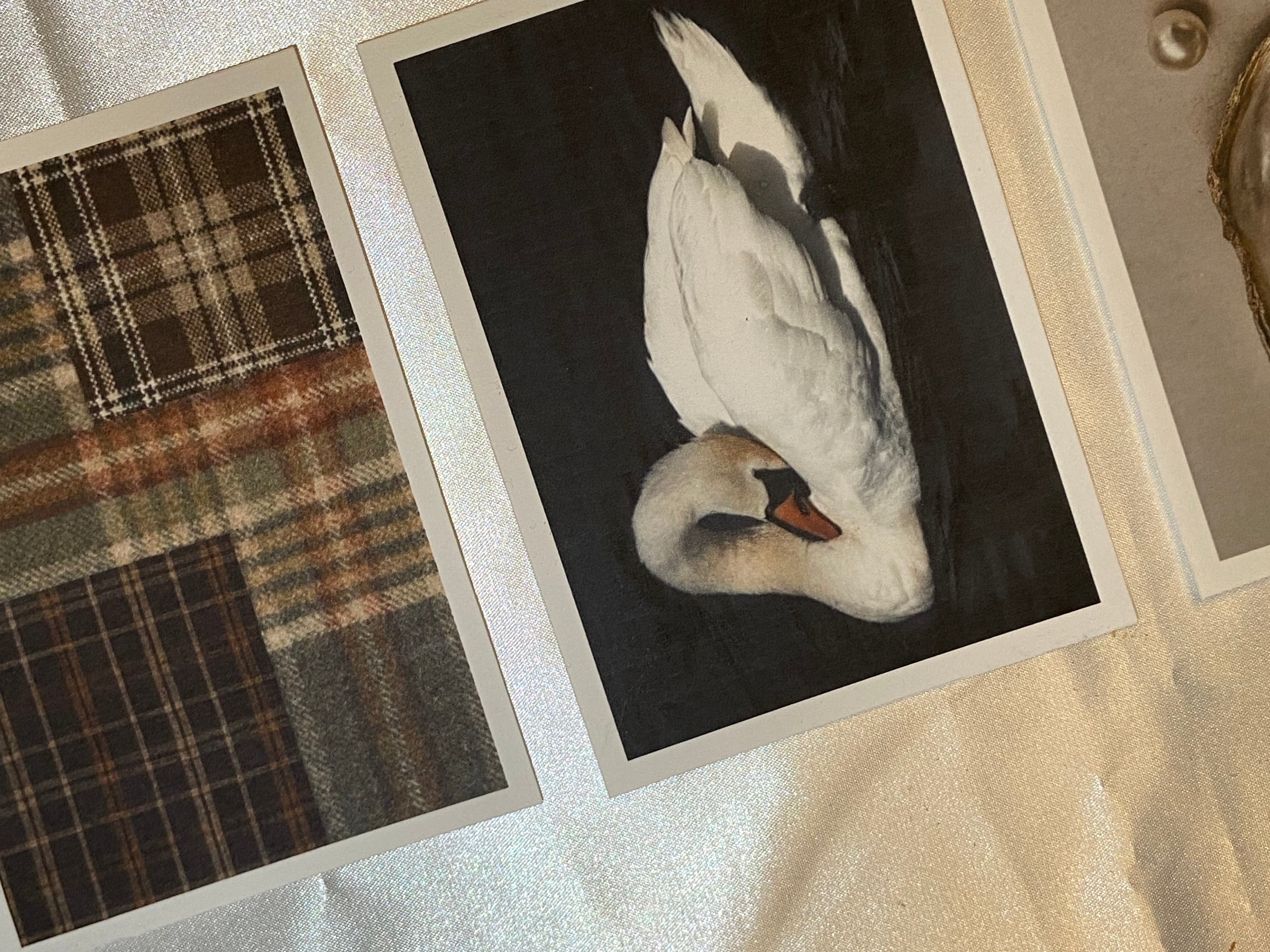 Refined Postcard Collection (Set of 4 Postcard)