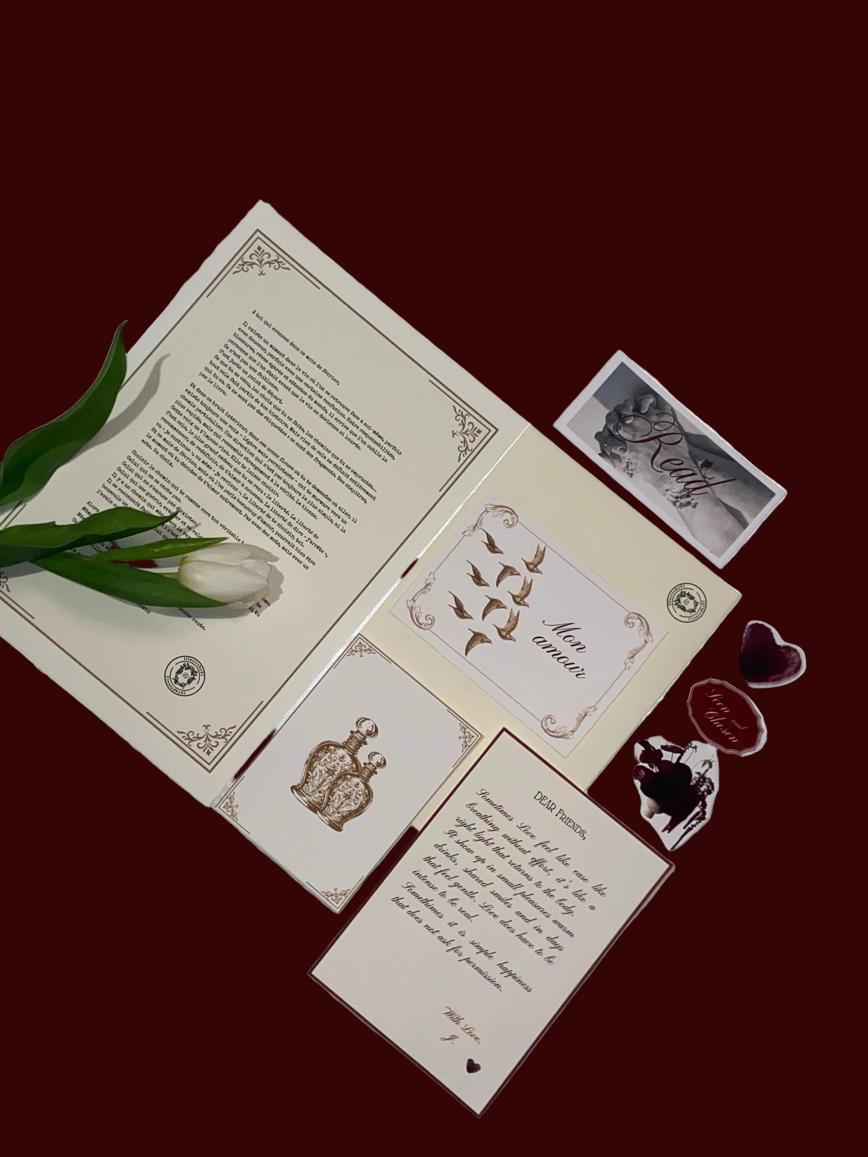 The Snail Mail Club - Preorder only / En précommande exclusivement